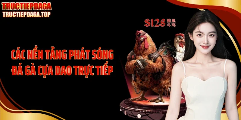 cac nen tang phat song da ga cua dao truc tiep Các nền tảng phát sóng đá gà cựa dao trực tiếp