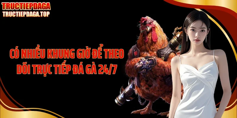 co nhieu khung gio de theo doi truc tiep da ga 24 7 Có nhiều khung giờ để theo dõi trực tiếp đá gà 24/7