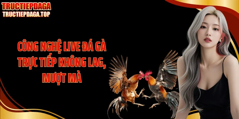 cong nghe live da ga truc tiep khong lag muot ma Công nghệ live đá gà trực tiếp không lag, mượt mà