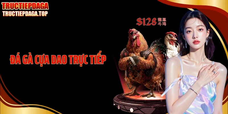 da ga cua dao truc tiep thumb