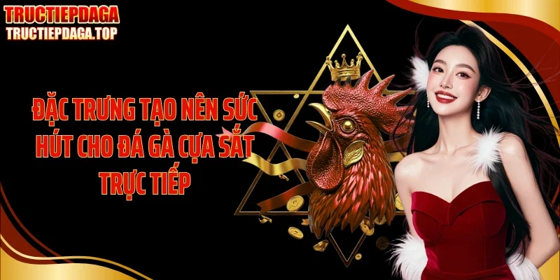 dac trung tao nen suc hut cho da ga cua sat truc tiep Đặc trưng tạo nên sức hút cho đá gà cựa sắt trực tiếp