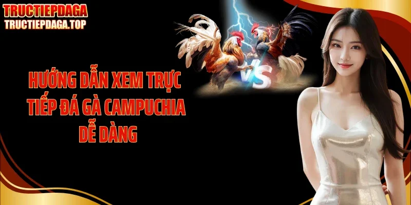 huong dan xem truc tiep da ga campuchia de dang Hướng dẫn xem trực tiếp đá gà Campuchia dễ dàng