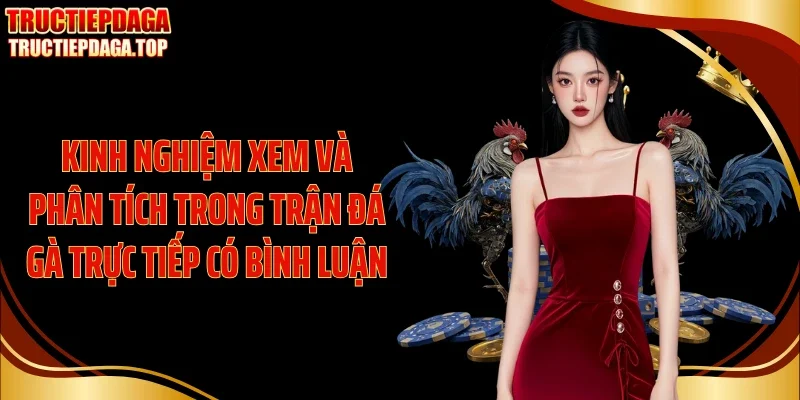 kinh nghiem xem va phan tich trong tran da ga truc tiep co binh luan Kinh nghiệm xem và phân tích trong trận đá gà trực tiếp có bình luận