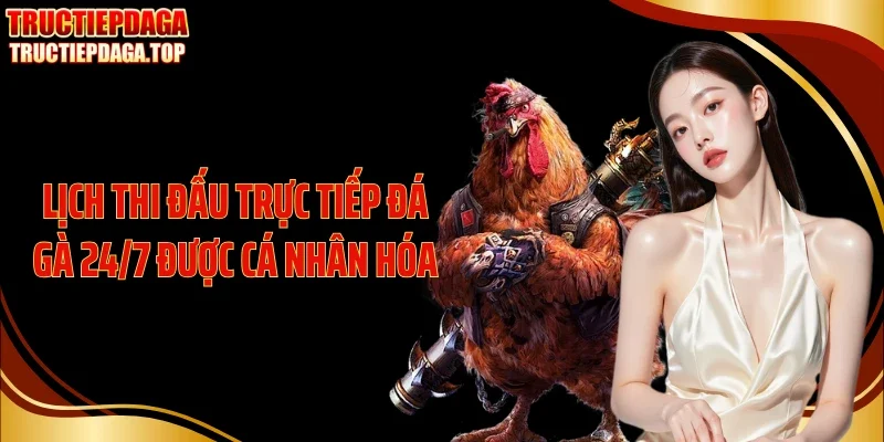 lich thi dau truc tiep da ga 24 7 duoc ca nhan hoa Lịch thi đấu trực tiếp đá gà 24/7 được cá nhân hóa