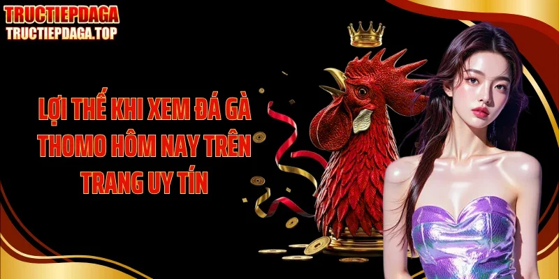 loi the khi xem da ga thomo hom nay tren trang uy tin Lợi thế khi xem đá gà Thomo hôm nay trên trang uy tín
