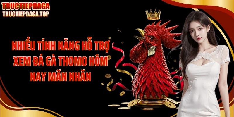 nhieu tinh nang ho tro xem da ga thomo hom nay man nhan Nhiều tính năng hỗ trợ xem đá gà Thomo hôm nay mãn nhãn