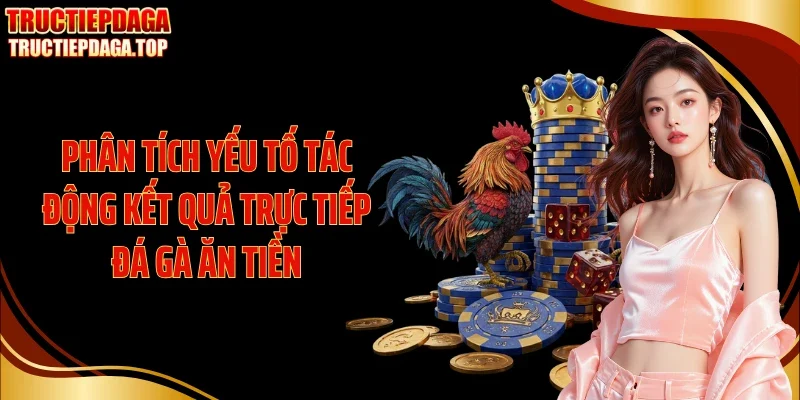 phan tich yeu to tac dong ket qua truc tiep da ga an tien Phân tích yếu tố tác động kết quả trực tiếp đá gà ăn tiền