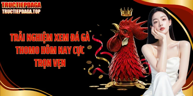 trai nghiem xem da ga thomo hom nay cuc tron ven Trải nghiệm xem đá gà Thomo hôm nay cực trọn vẹn