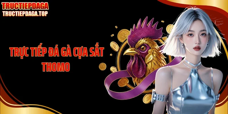 truc tiep da ga cua sat thomo thumb