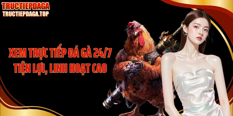 xem truc tiep da ga 24 7 tien loi linh hoat cao Xem trực tiếp đá gà 24/7 tiện lợi, linh hoạt cao