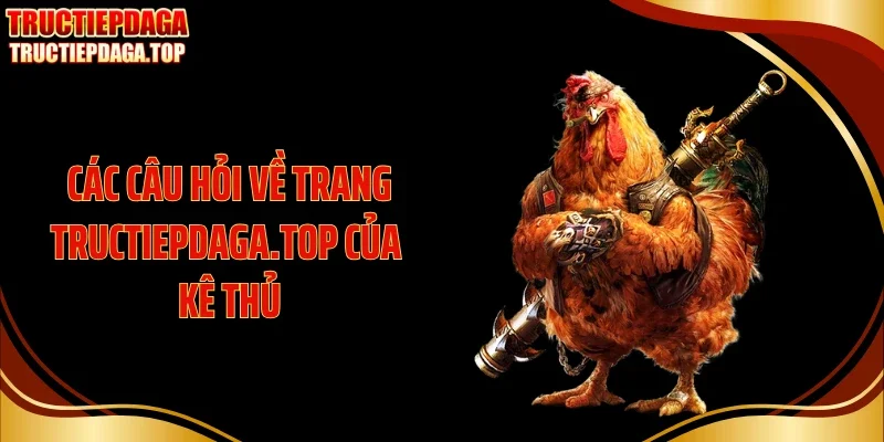 Các câu hỏi về trang cyes88.com.tw của kê thủ