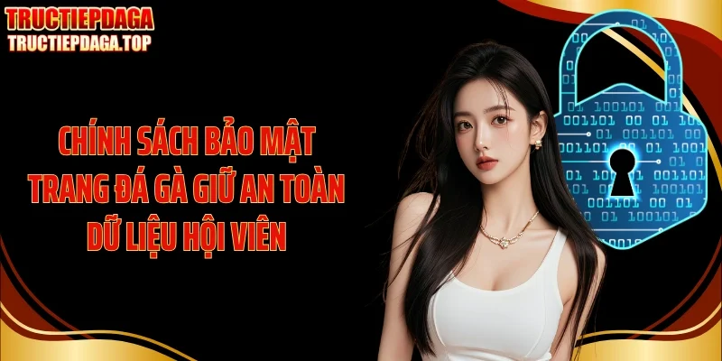Chính sách bảo mật trang đá gà giữ an toàn dữ liệu hội viên