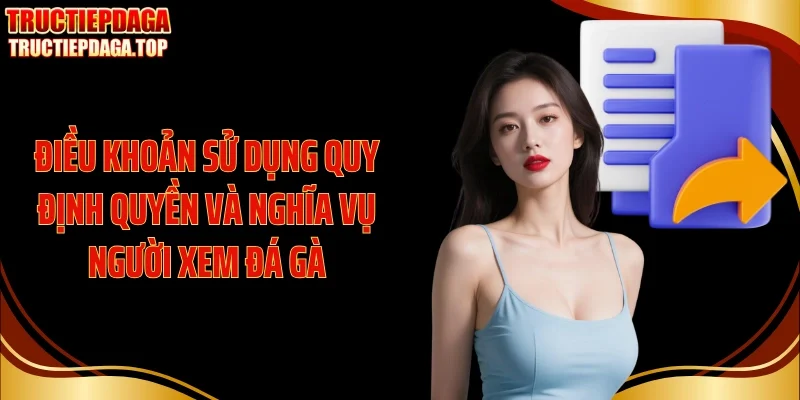 Điều khoản sử dụng quy định quyền và nghĩa vụ người xem đá gà