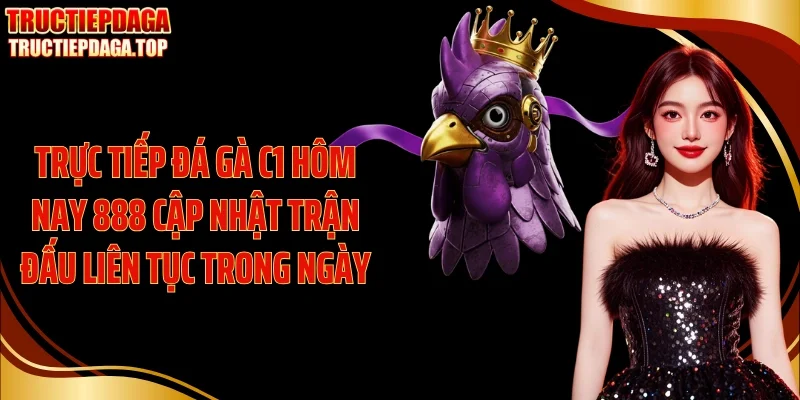 Trực tiếp đá gà C1 hôm nay 888 cập nhật trận đấu liên tục trong ngày