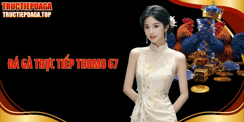 da ga truc tiep thomo 67 thumb