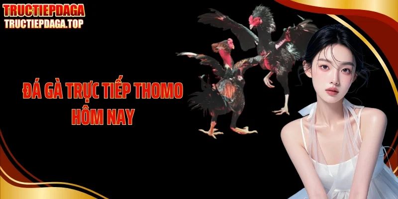 da ga truc tiep thomo hom nay thumb