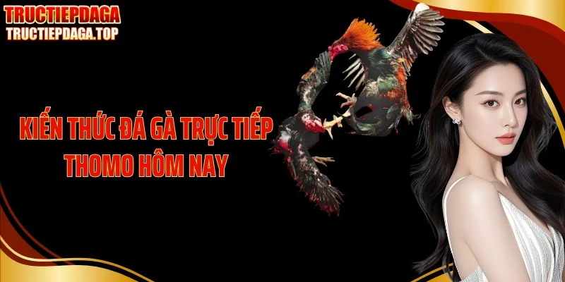 kien thuc da ga truc tiep thomo hom nay thumb